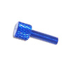 Blue Aluminum Canopy Mounting Screw(Ø4.0*15mm) [BP284B]